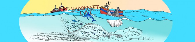 Kadonneet eväät - kampanja liikakalastuksen lopettamiseksi