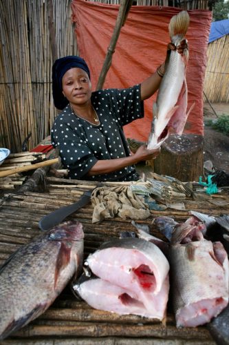 Nainen myy kalaa torilla Kongossa