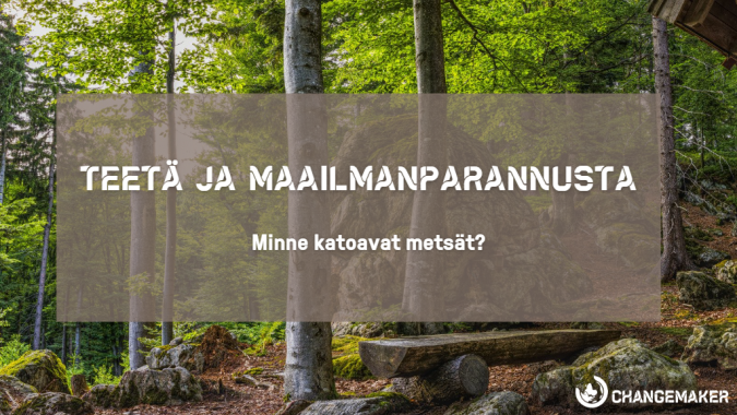 Metsää