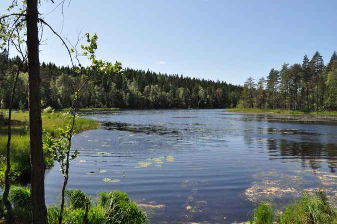 Ympäristöryhmän retki Nuuksioon 20.6.2012