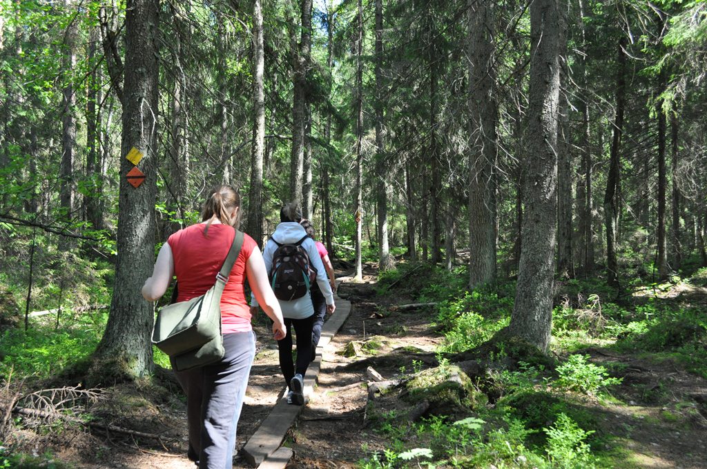 Ympäristöryhmän retki Nuuksioon 20.6.2012