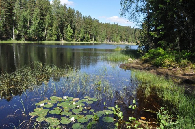 Ympäristöryhmän retki Nuuksioon 20.6.2012